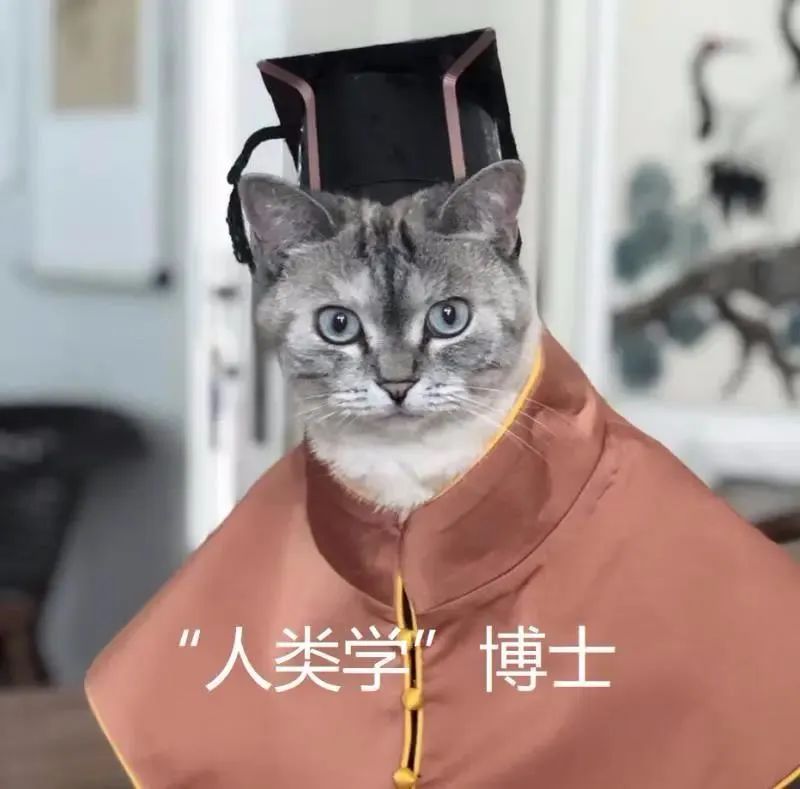 中央美院“學(xué)士服”美上熱搜！網(wǎng)友：這是什么神仙設(shè)計(jì)？