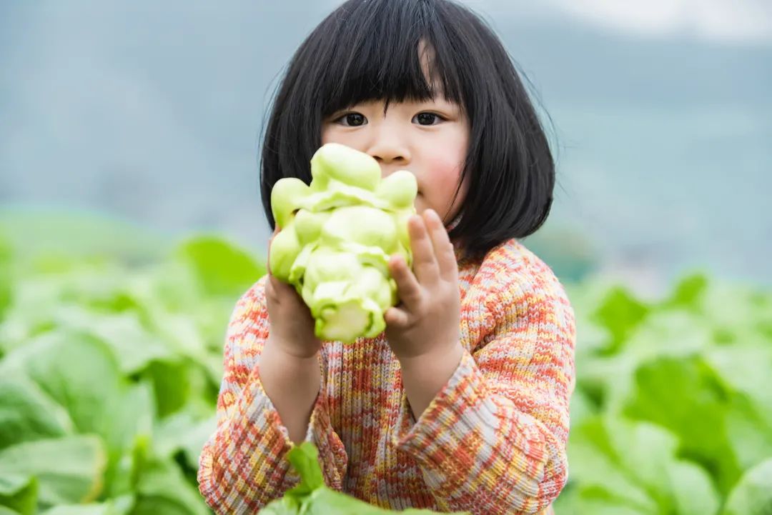 中國國家地理為《烏江》拍紀(jì)錄片，探索一包榨菜的前世今生