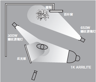 11種基礎(chǔ)打光方法，讓我們?cè)诖蚬獾牡缆飞献叩母鼒?jiān)實(shí)！