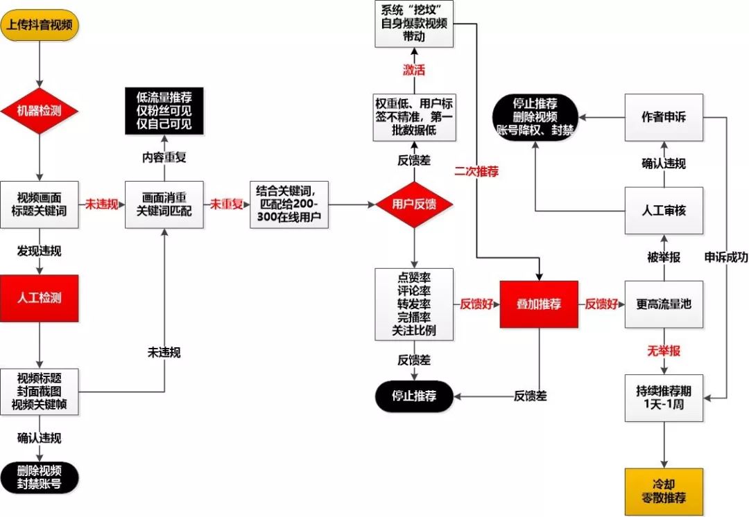 鳥哥筆記,新媒體運(yùn)營(yíng),松露,冷啟動(dòng),短視頻