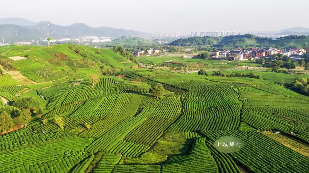 龍塢創(chuàng)意宣傳片《龍塢問(wèn)茶詩(shī)》