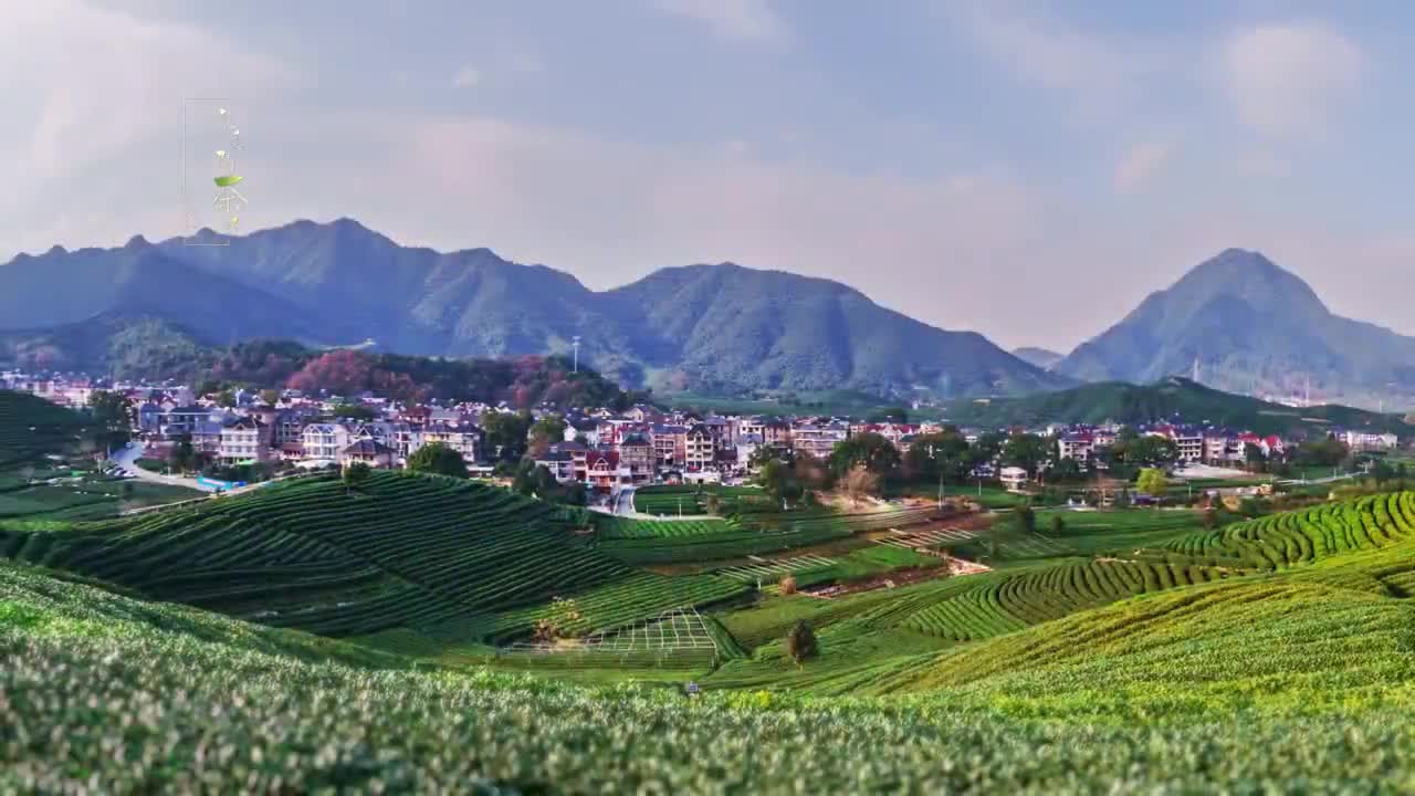 龍塢創(chuàng)意宣傳片《龍塢問(wèn)茶詩(shī)》