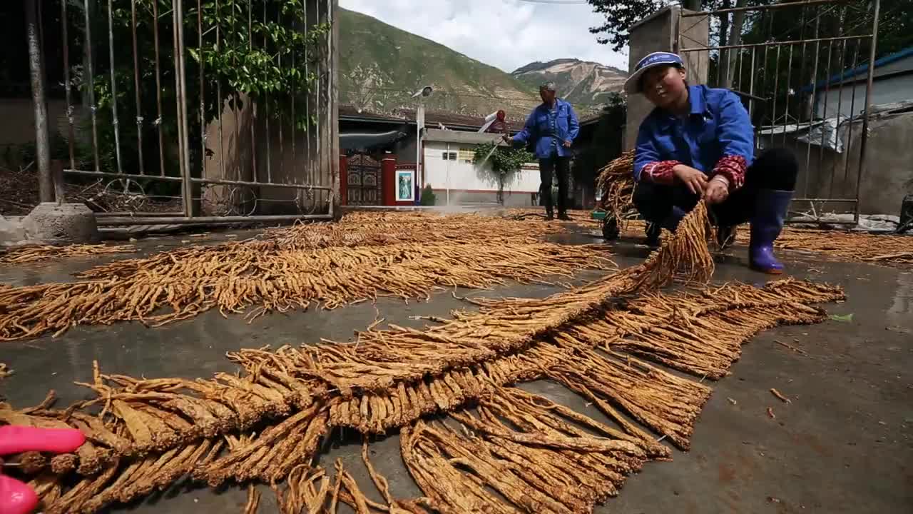 央視人文紀(jì)錄片《陰平古道》 集  尋訪