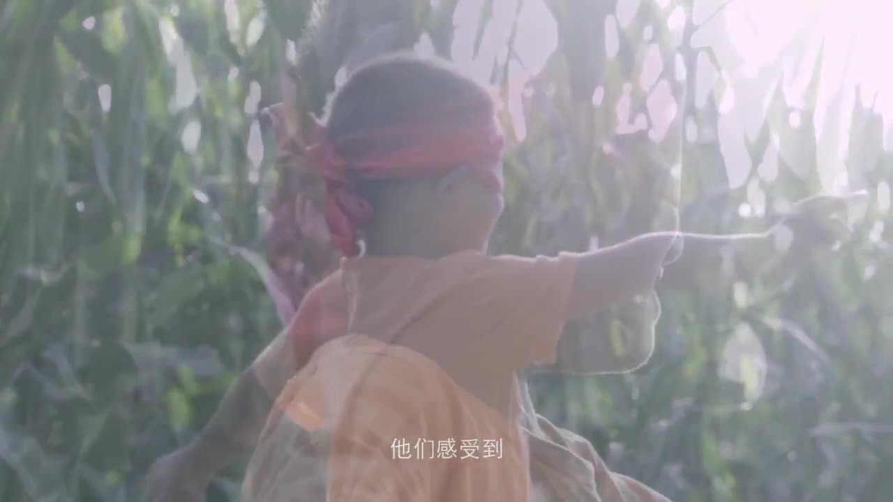 盲童公益片《假如我有三天光明》