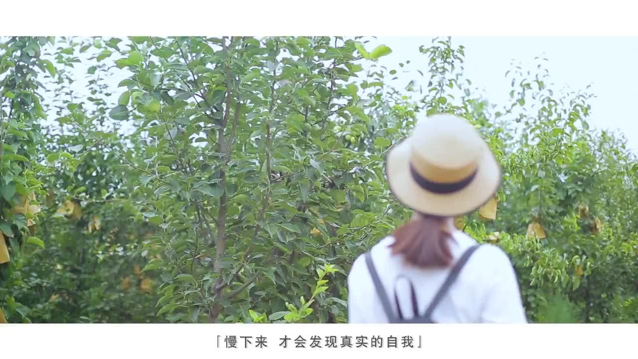 封丘城市宣傳片《時(shí)光在左，你在右》