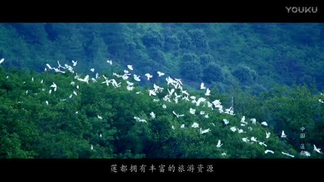 麗水旅游宣傳片《中國蓮都-麗水》