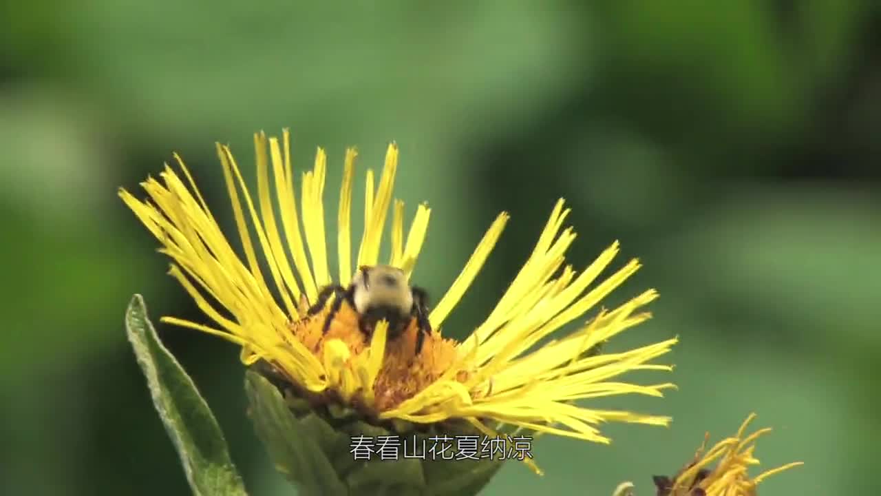 《武隆和順》地方宣傳片