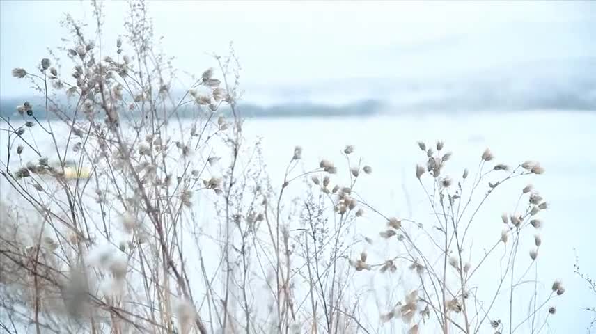 保時捷冰雪試駕會極地體驗(yàn)