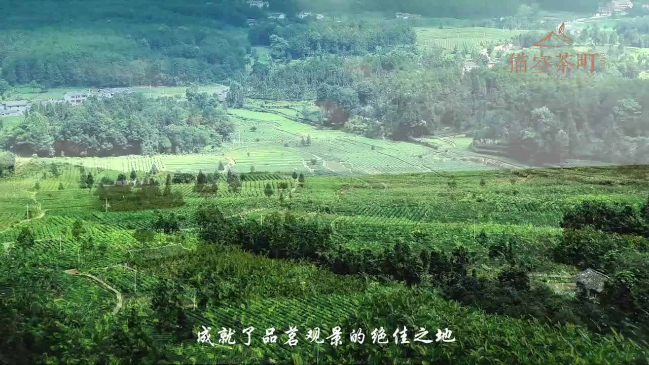 貓空茶宣傳片 梵曲配音